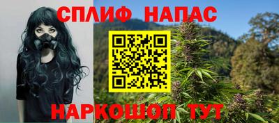 стаф Краснодар