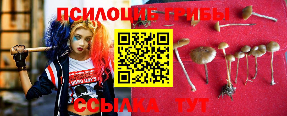 купить  цена  Псилоцибиновые грибы ЛСД  Псилоцибиновые грибы Magic Shrooms  Вход с VPN  Гусь-Хрустальный 